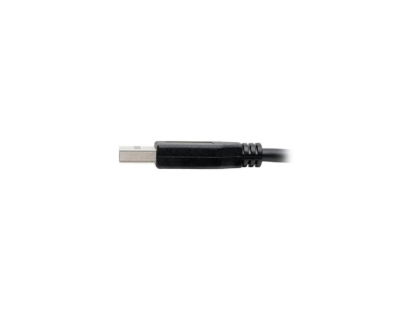 Tripp Lite USB C to USB-A Cable 5 Gbps USB 3.1 Gen 1 M/M USB Type C 6ft  (U428-006)