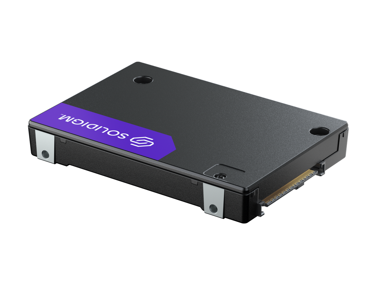 Solidigm 2.5" U.2 1.6TB PCI-Express 5.0 x4 Internal Solid State Drive (SSD) D7-PS1030