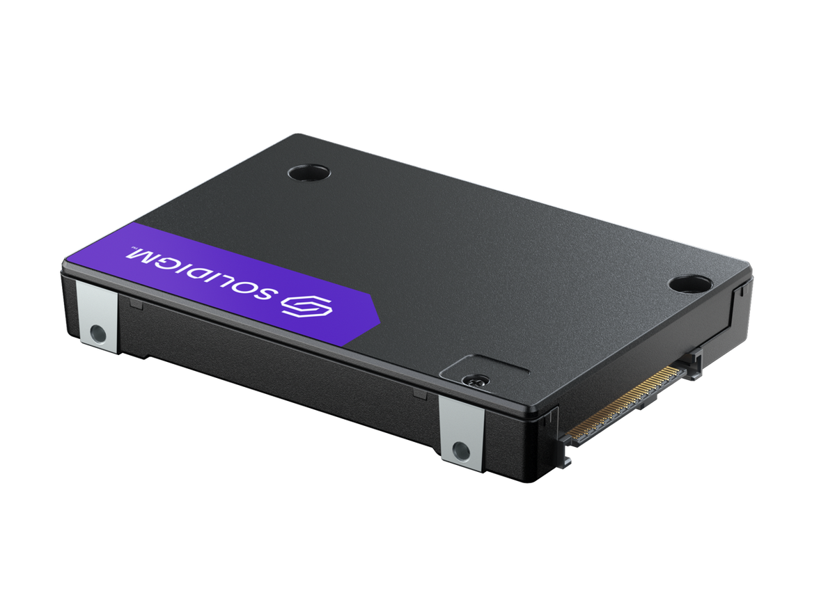 Solidigm 2.5" U.2 1.6TB PCI-Express 5.0 x4 Internal Solid State Drive (SSD) D7-PS1030