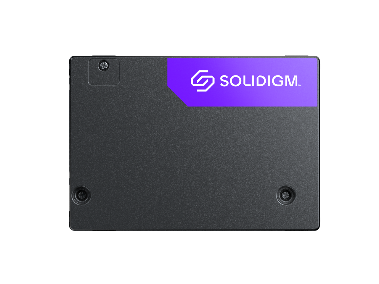 Solidigm 2.5" U.2 1.6TB PCI-Express 5.0 x4 Internal Solid State Drive (SSD) D7-PS1030