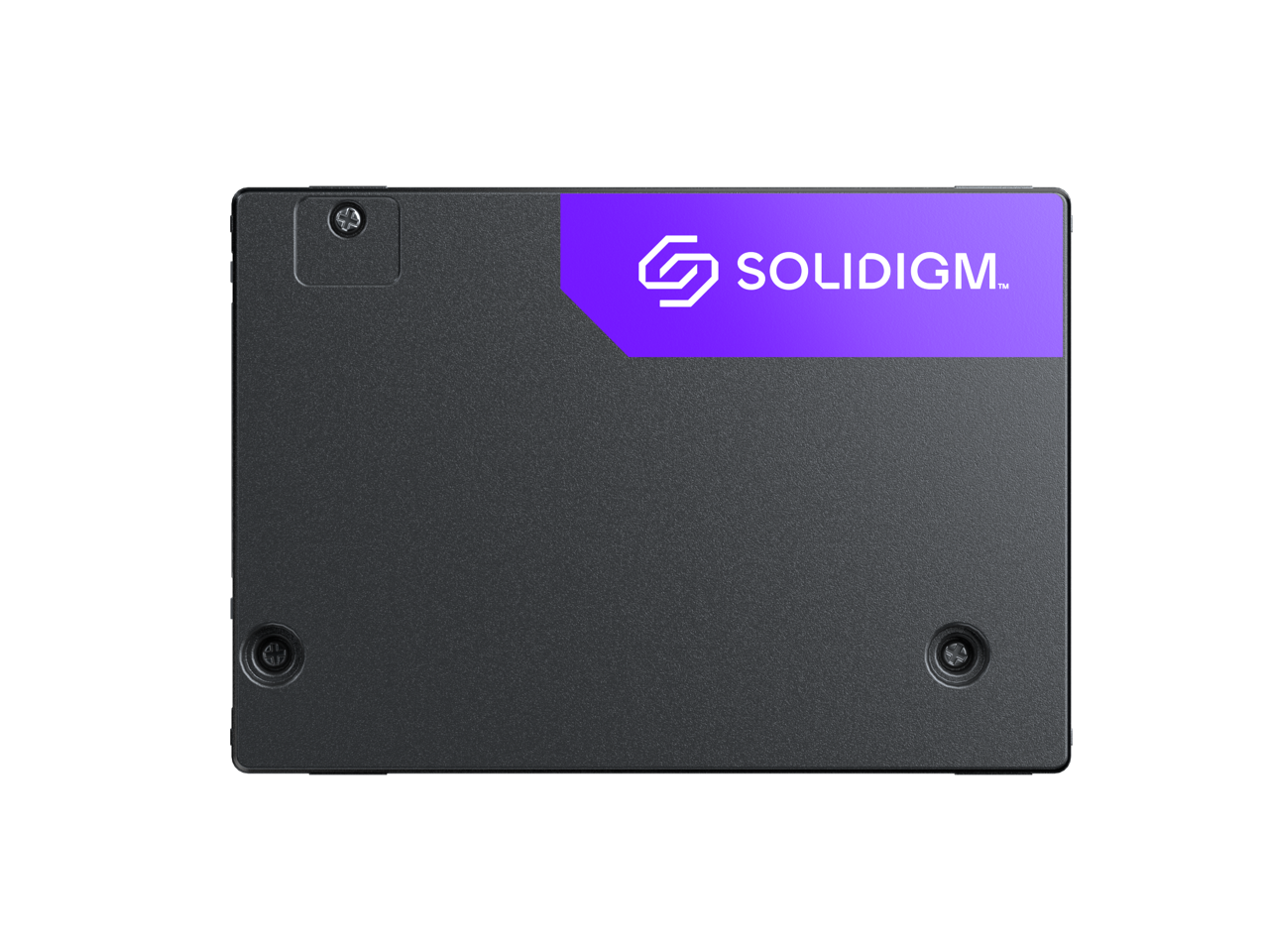 Solidigm 2.5" U.2 1.6TB PCI-Express 5.0 x4 Internal Solid State Drive (SSD) D7-PS1030