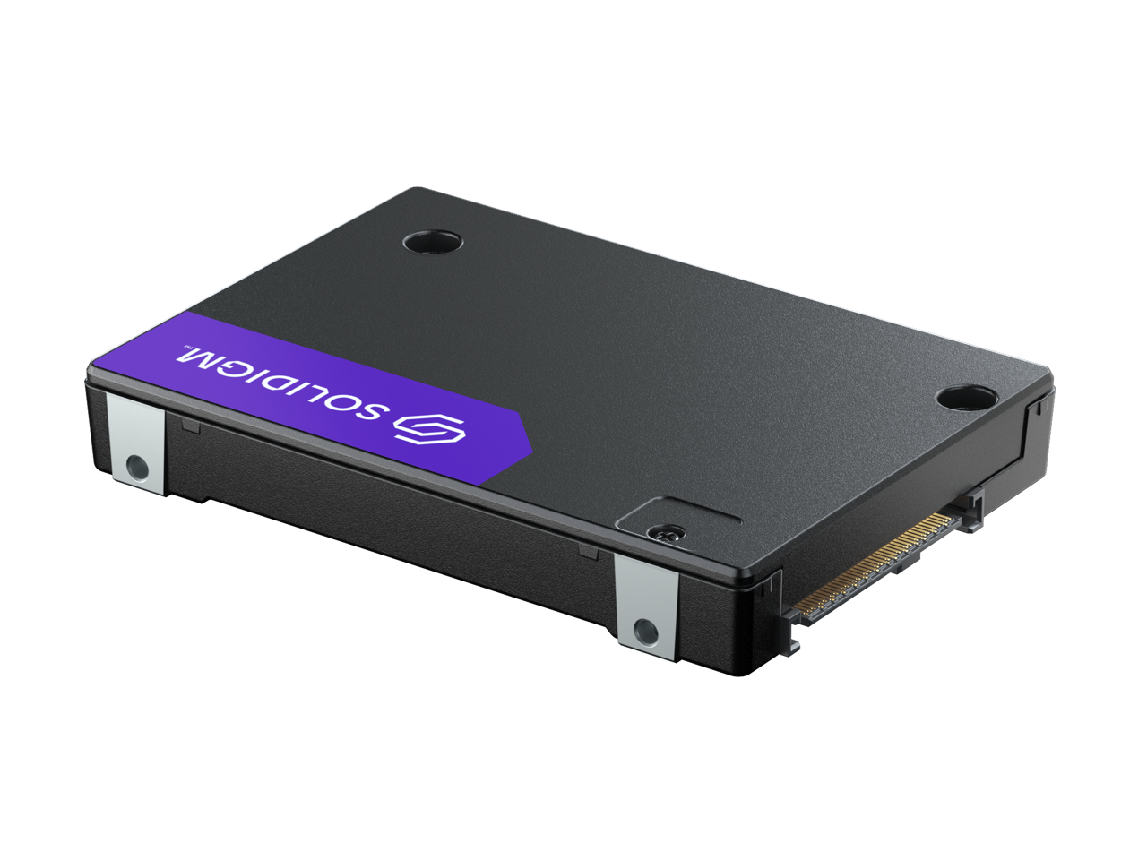 Solidigm 2.5" U.2 1.6TB PCI-Express 5.0 x4 Internal Solid State Drive (SSD) D7-PS1030