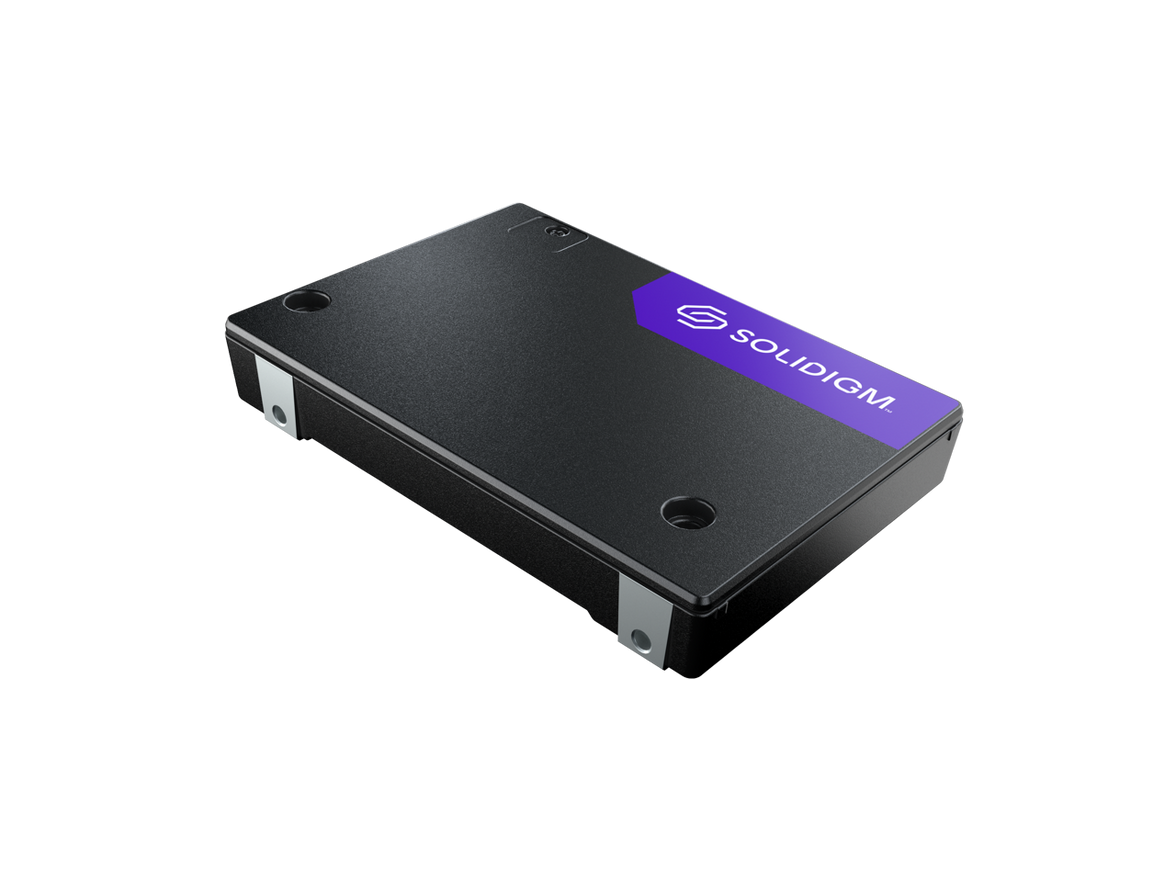 Solidigm D7-PS1010 2.5" U.2 3.84TB PCI-Express 5.0 x4 176L TLC 3D NAND Solid State Disk