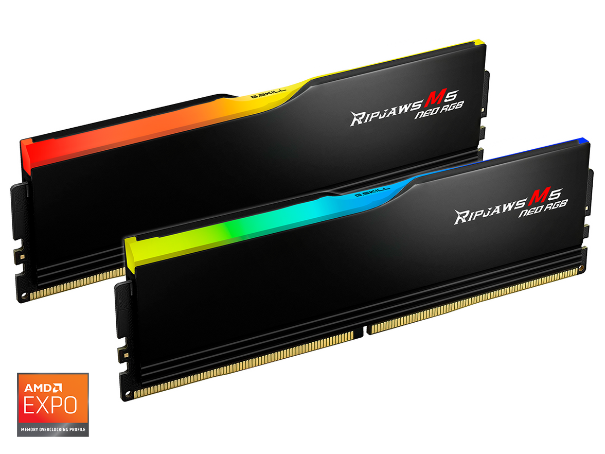 G.SKILL Ripjaws M5 RGB Series 32GB (2 x 16GB) 288-Pin PC RAM DDR5 6000 (PC5 48000) Desktop Memory