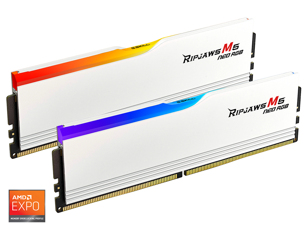 G.SKILL Ripjaws M5 RGB Series 32GB (2 x 16GB) 288-Pin PC RAM DDR5 6000 (PC5 48000) Desktop Memory