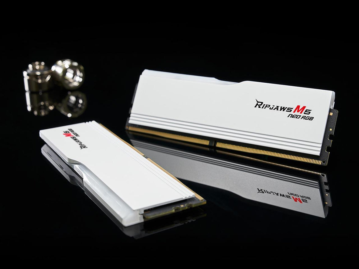 G.SKILL Ripjaws M5 RGB Series 32GB (2 x 16GB) 288-Pin PC RAM DDR5 6000 (PC5 48000) Desktop Memory