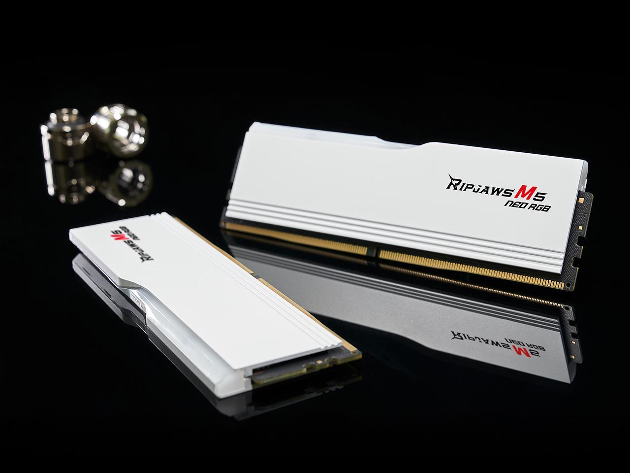 G.SKILL Ripjaws M5 RGB Series 32GB (2 x 16GB) 288-Pin PC RAM DDR5 6000 (PC5 48000) Desktop Memory