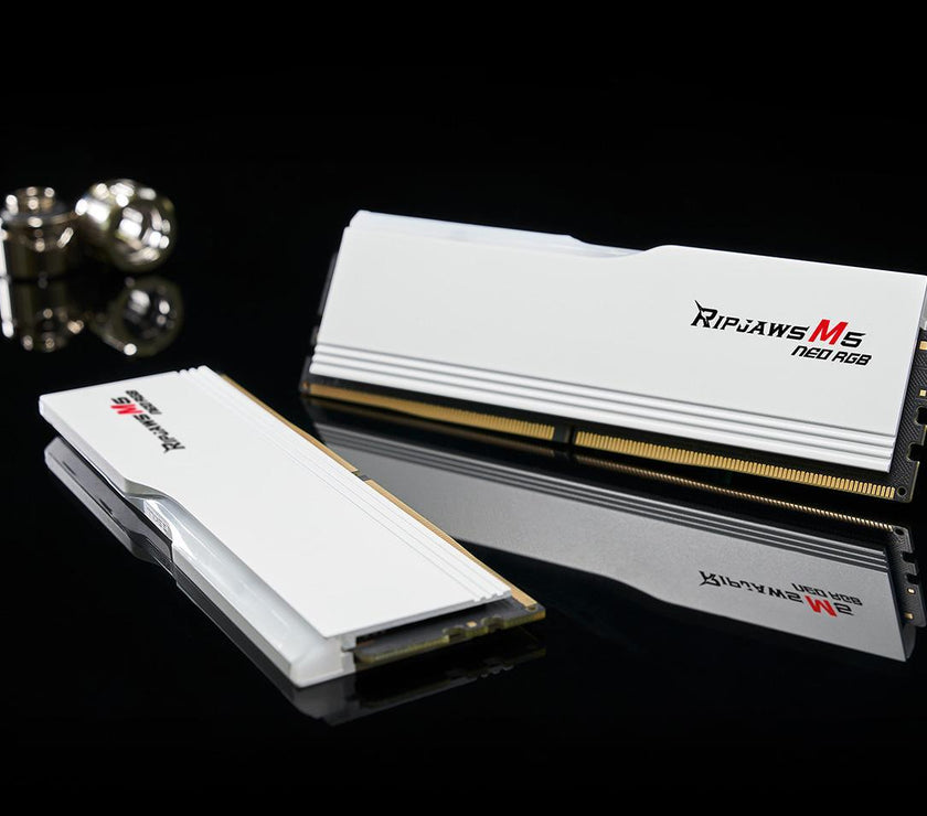 G.SKILL Ripjaws M5 RGB Series 32GB (2 x 16GB) 288-Pin PC RAM DDR5 6000 (PC5 48000) Desktop Memory