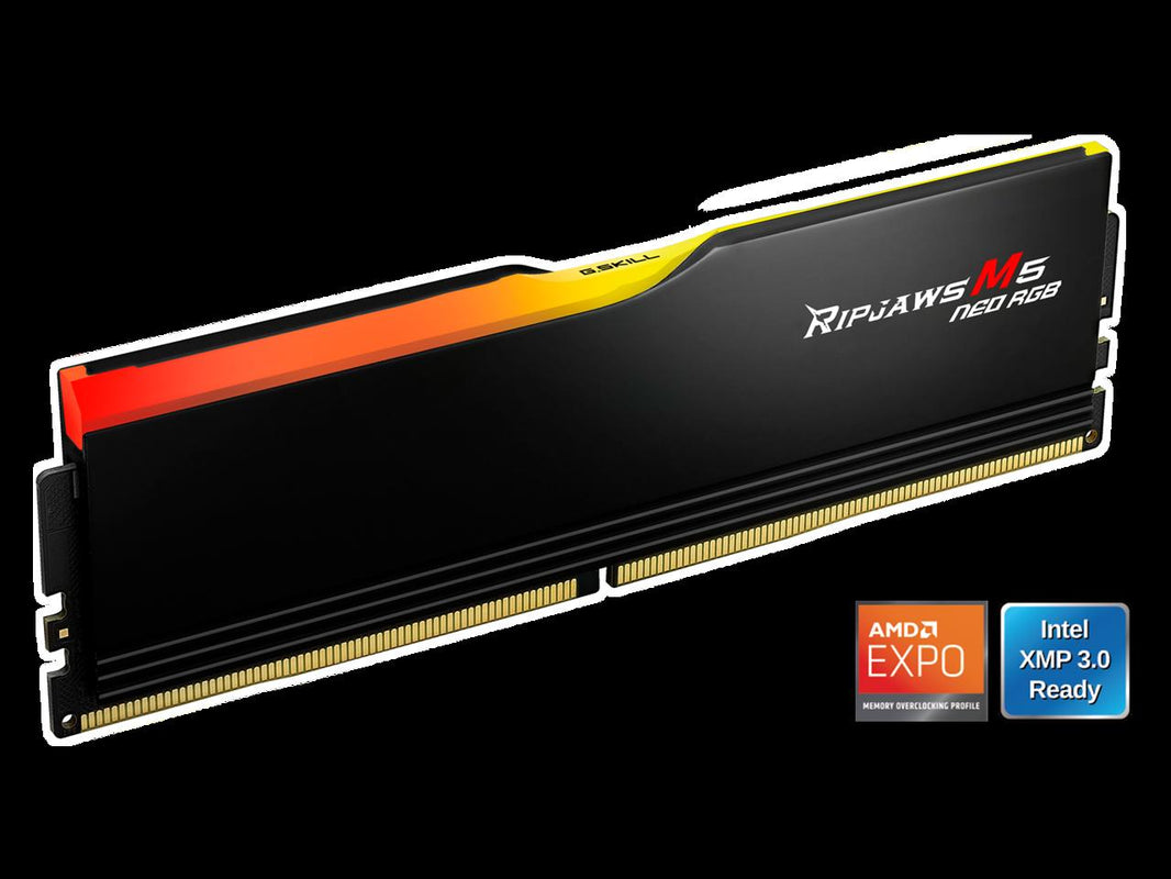 G.SKILL Ripjaws M5 Neo RGB Series 16GB 288-Pin PC RAM DDR5 6000 (PC5 48000) Desktop Memory Model F5-6000J3636F16GX1-RM5NRK