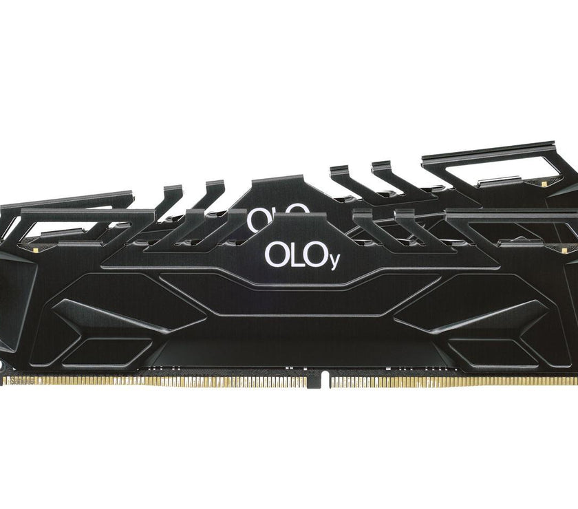 OLOy OWL 32GB (2 x 16GB) 288-Pin PC RAM DDR4 3600 (PC4 28800) Desktop Memory Model MD4U1636181CHKDA