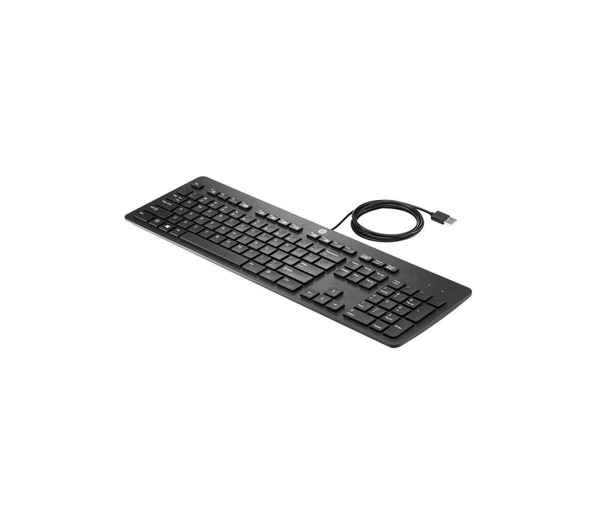 HP USB Slim Business Keyboard