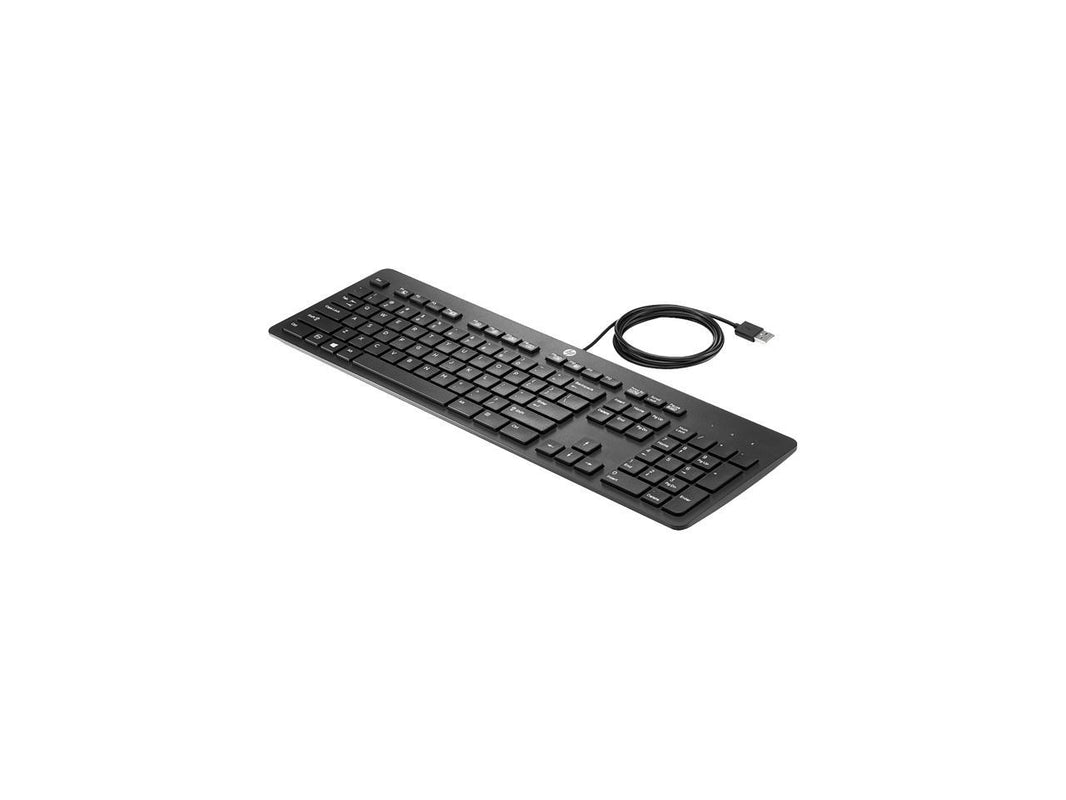 HP USB Slim Business Keyboard