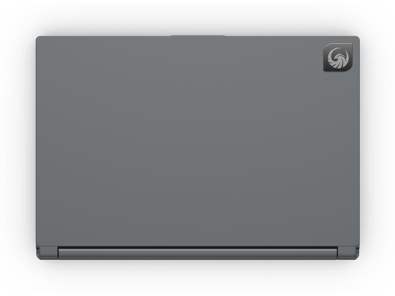 MSI Delta 15 - 15.6'' 240 Hz IPS - AMD Ryzen 7 5800H - AMD Radeon RX 6700M - 16 GB DDR4 - 1 TB PCIe SSD - Windows 11 Home 64-bit - Gaming Laptop (Delta 15 A5EFK-097 )