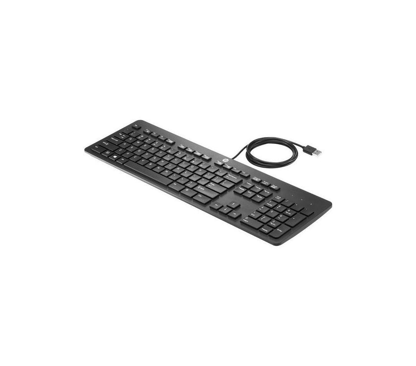 HP USB Slim Business Keyboard